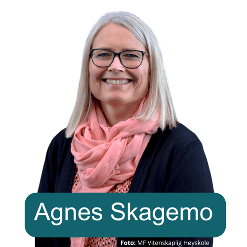 Agnes skagemo 3